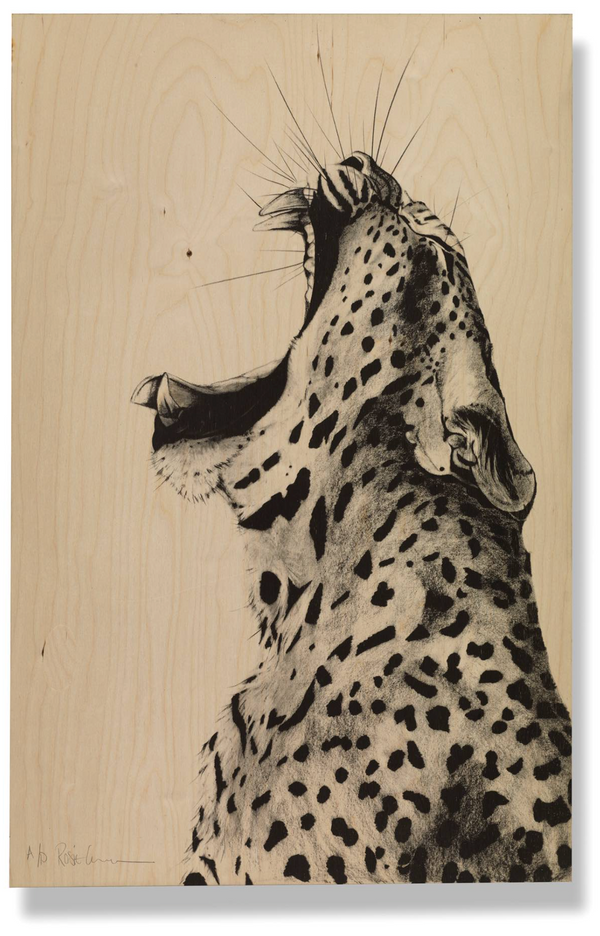 Leopard Sound on Wood