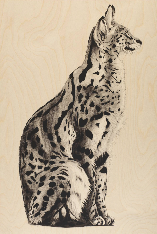 Wood Serval 1