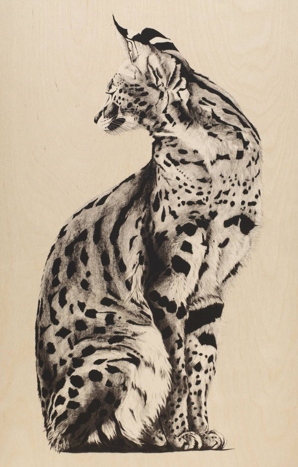 Wood Serval 2